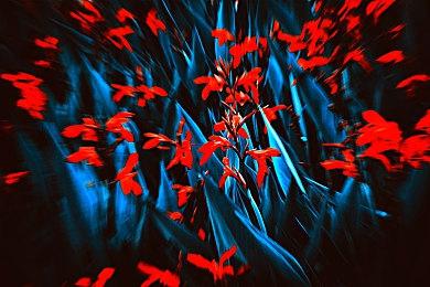 《绝地潜兵2》目前已在177个国家和地区无法购买