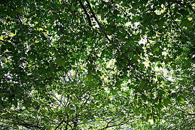 索尼：动视如被微软收购、PS6细节将不会分享给动视