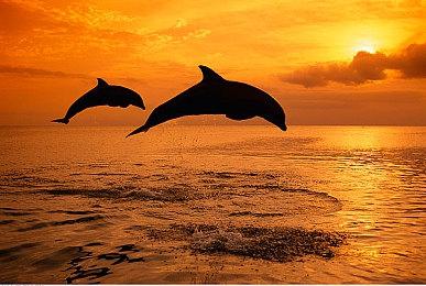 官方宣布《NBA 2K24》将于今年年底正式停止服务